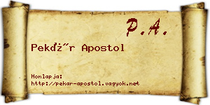 Pekár Apostol névjegykártya